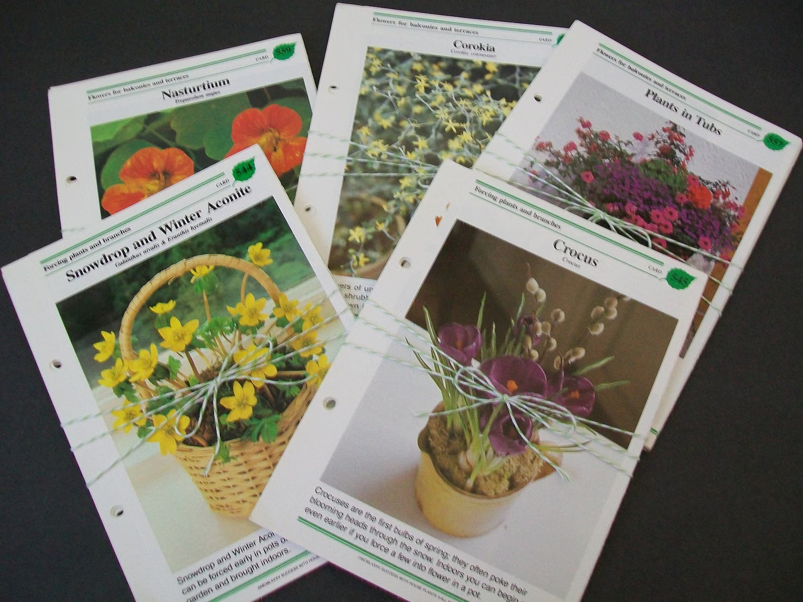 Vintage Gardening Binder Book Pages 1985 House Plants Junk Journal Kit Set of 12