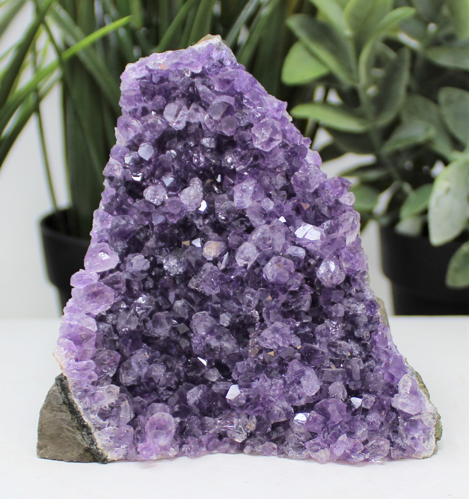 Stunning VERY LARGE Amethyst Cut Base Cluster Crystal Quartz Geode 1.1 – 1.8 lb