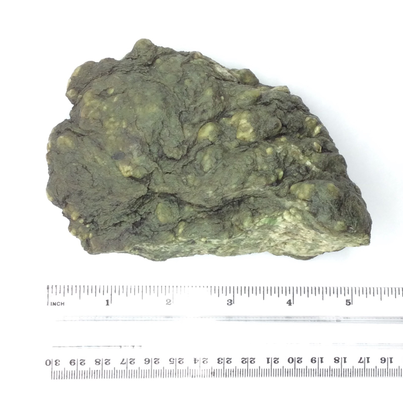 Trinity Alps Botryoidal Jade Stone Green Nephrite Jade Cobble Specimen CA #13