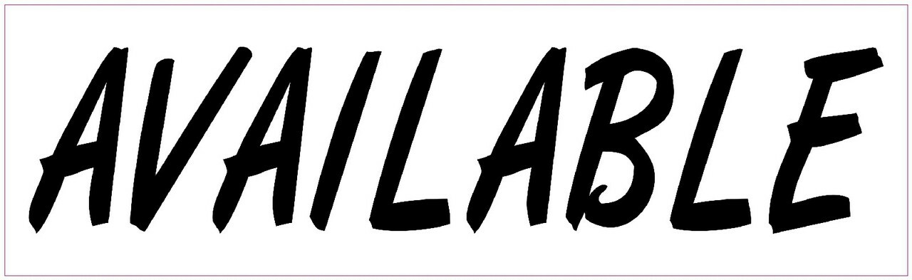 10in x 3in Available Funny Vinyl Bumper magnet Car magnetic magnets