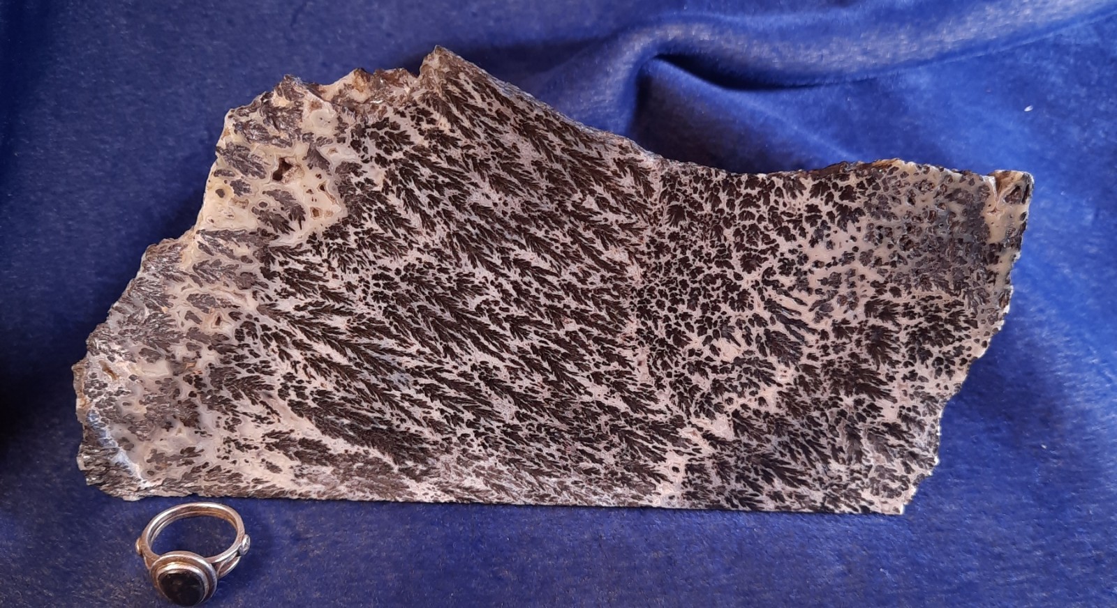 MEDICINE BOW AGATE from WYOMING – 268 GRAMS – SLAB