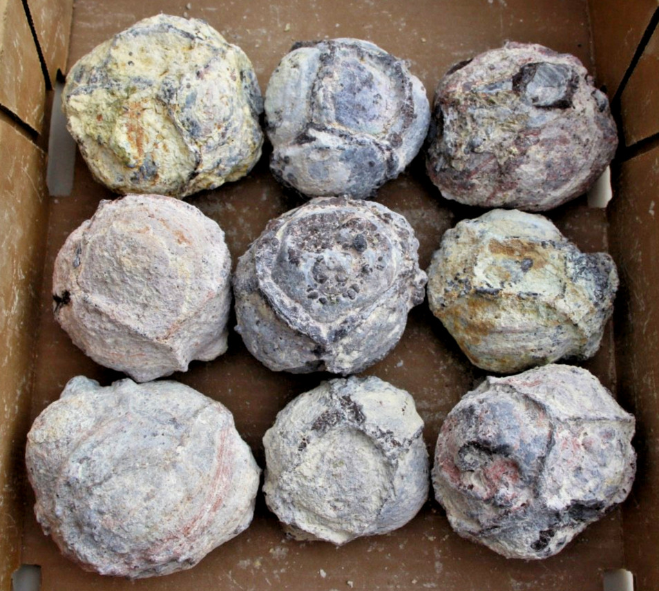9 Whole Dugway Geodes • 3.0″ to 3.5″ diameter • 9.6 pounds
