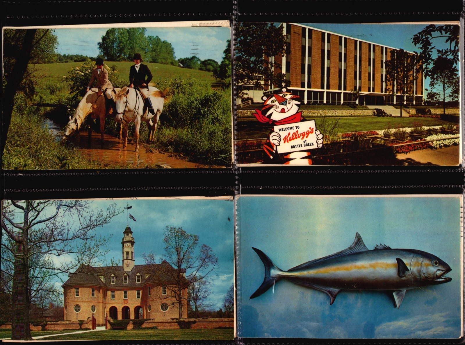 HUGE LOT 50 USA POSTCARDS-CHROME MIXED STATES- USED & UNUSED