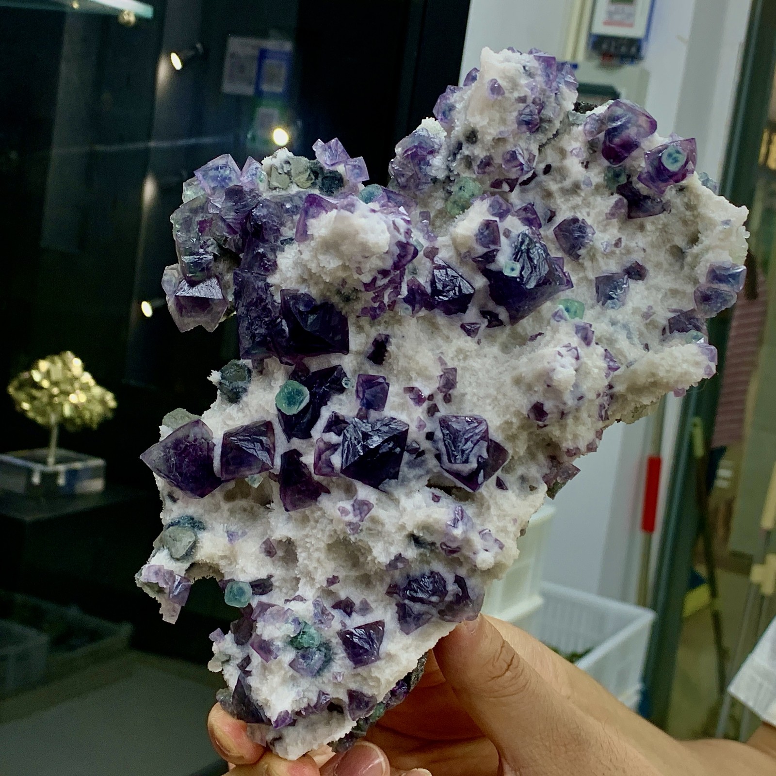 3.1LB Rare Purple blue cubic fluorite mineral crystal sample/Inner Mongolia