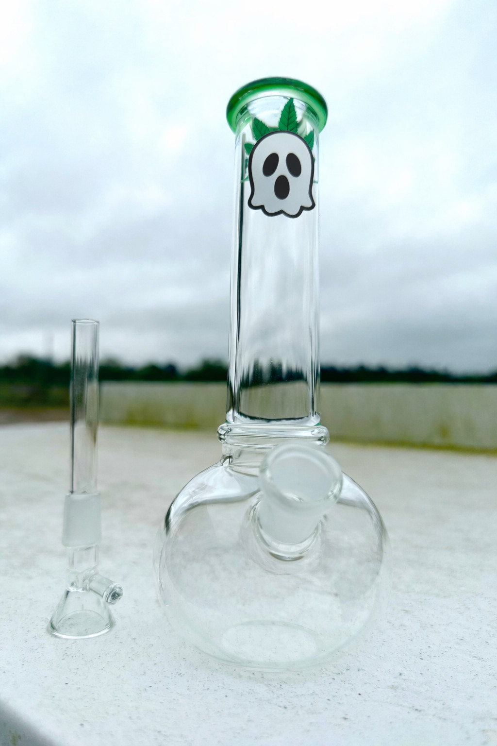 8″ Clear Glass Bong Water Pipe with Small Leaf Design Simple Durable Affordable