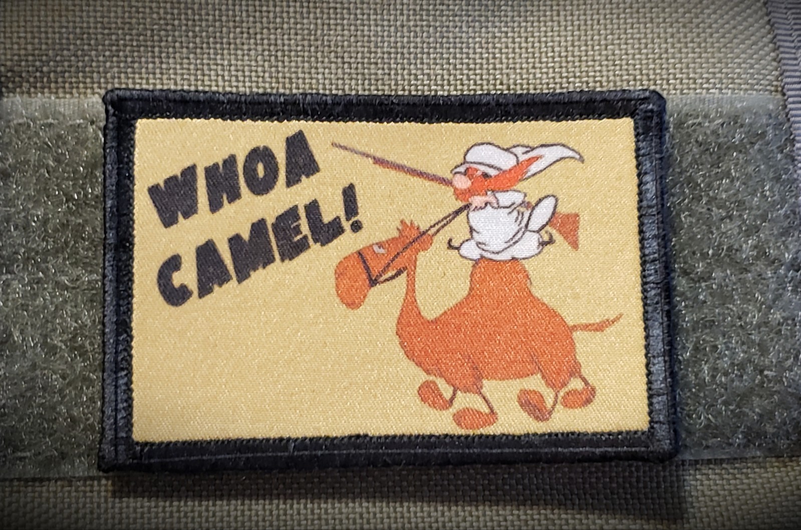 Wile E. Coyote WTF Morale Patch Tactical Army Military USA Looney Tunes 2A