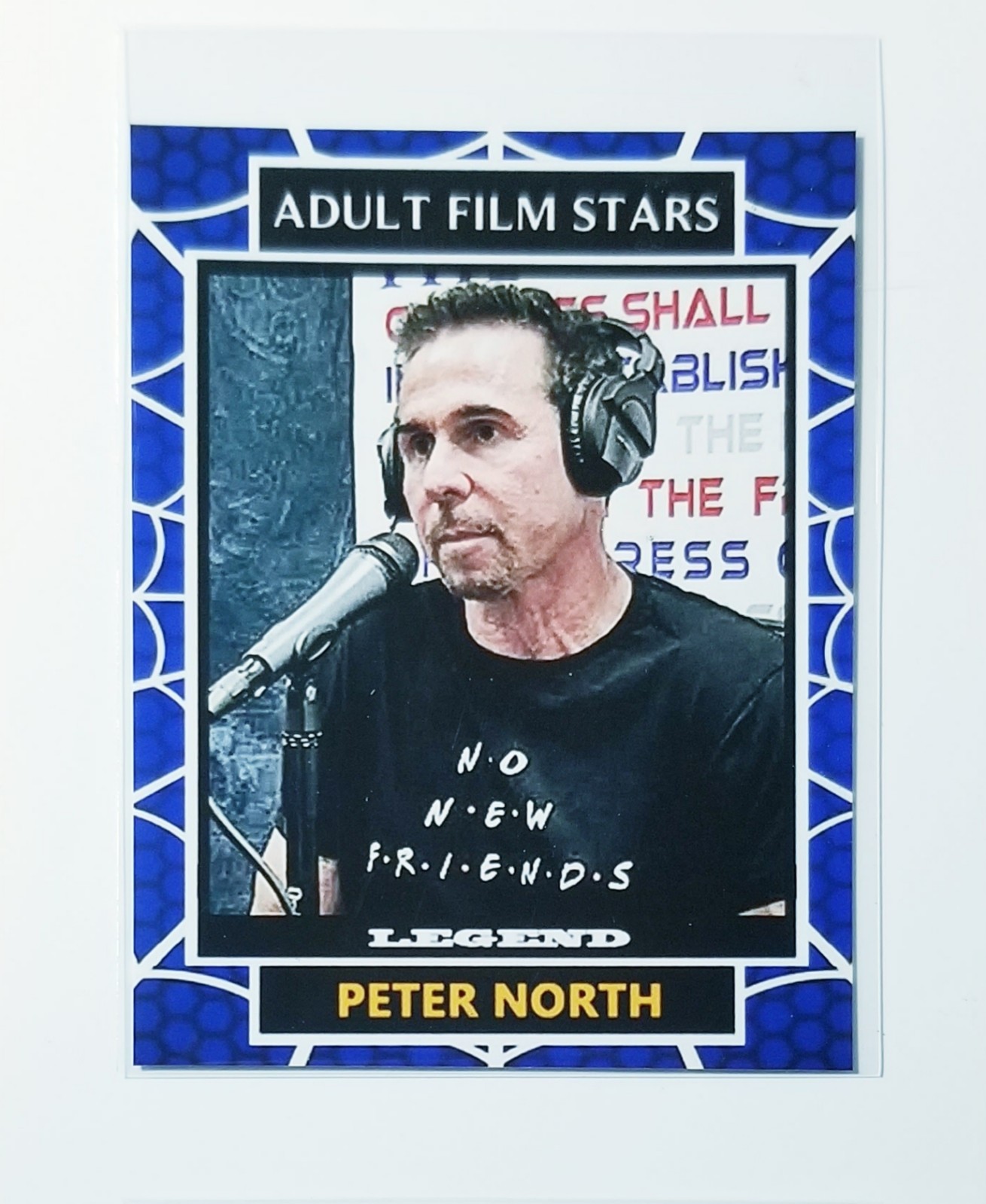 PETER NORTH ADULT FILM STARS CUSTOM ART TRADING CARD NOVELTY 66