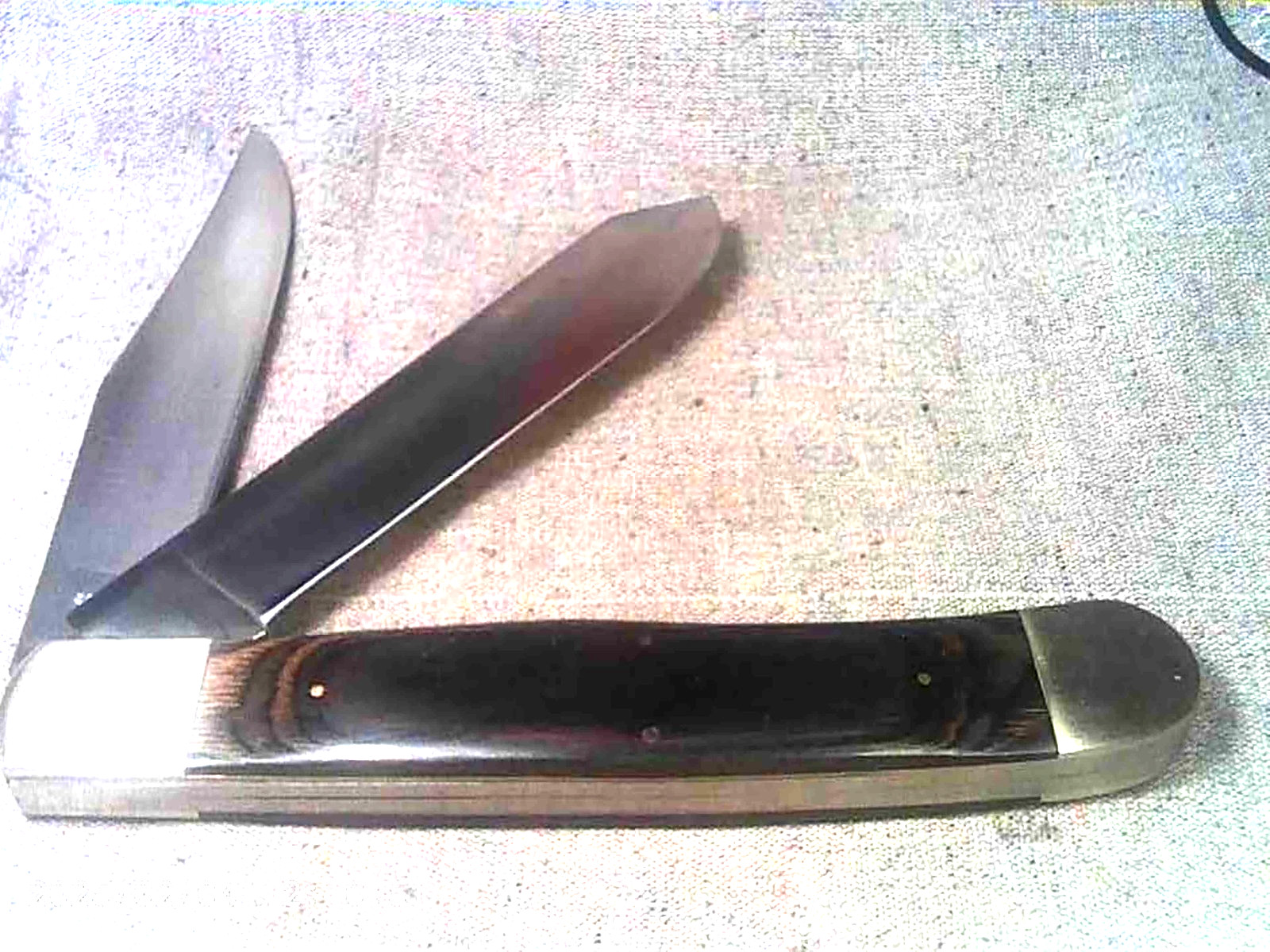 JUMBO DISPLAY KING TRAPPER KNIFE 8″ Dark Brown Hardwood Handles 2-German Blades