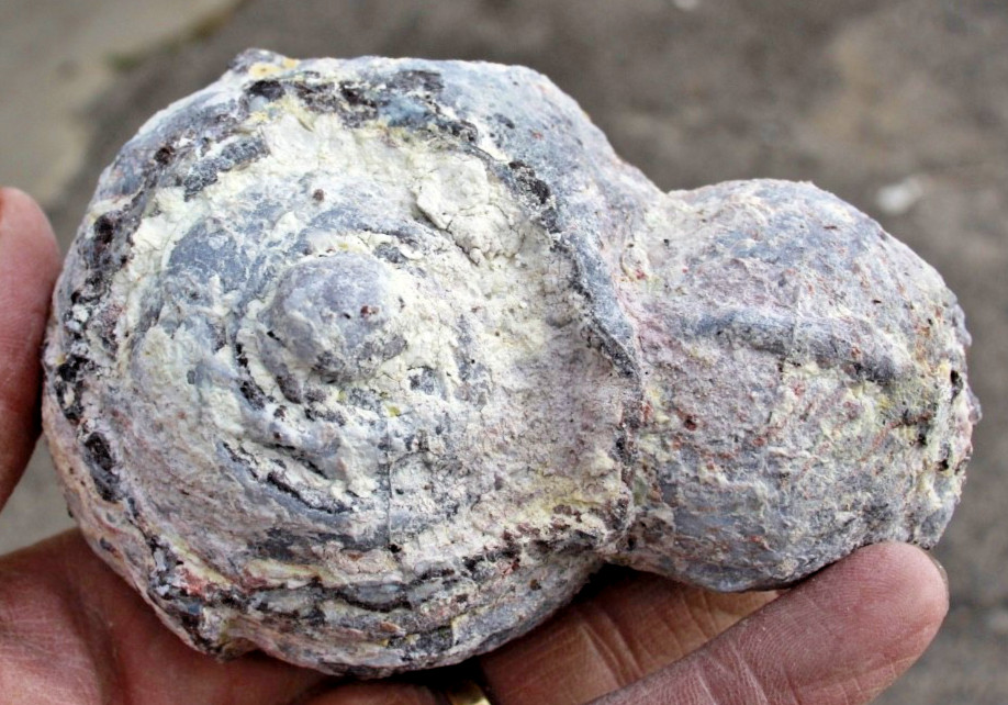 3 Whole Multi Bubble Dugway Geodes • 3.5″ to 4.0″ diameter • 5.2 pounds