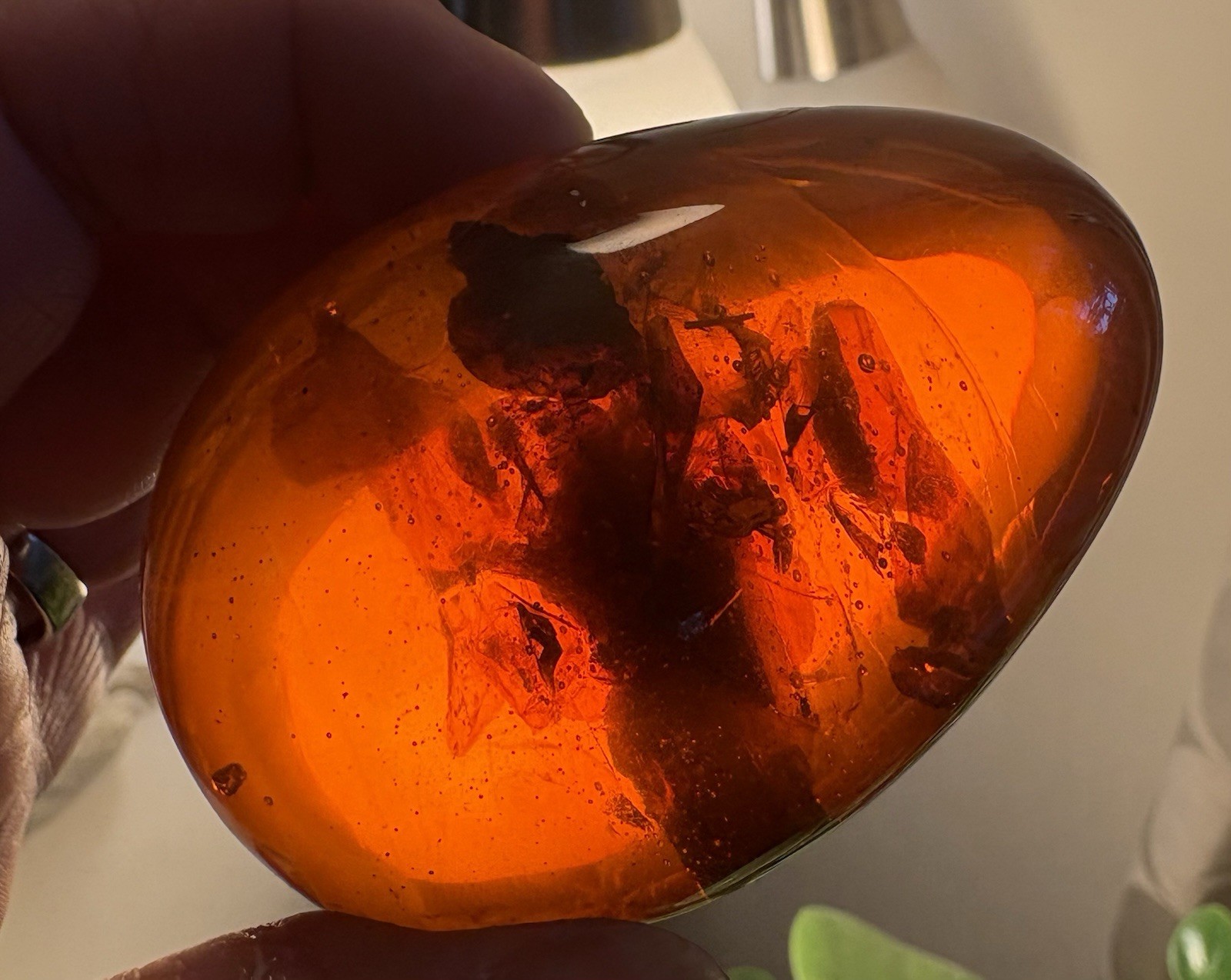 Genuine Warm AMBER Fossilized Egg Shape 103g 3 Inches Tall And 6 Inches Circumfr