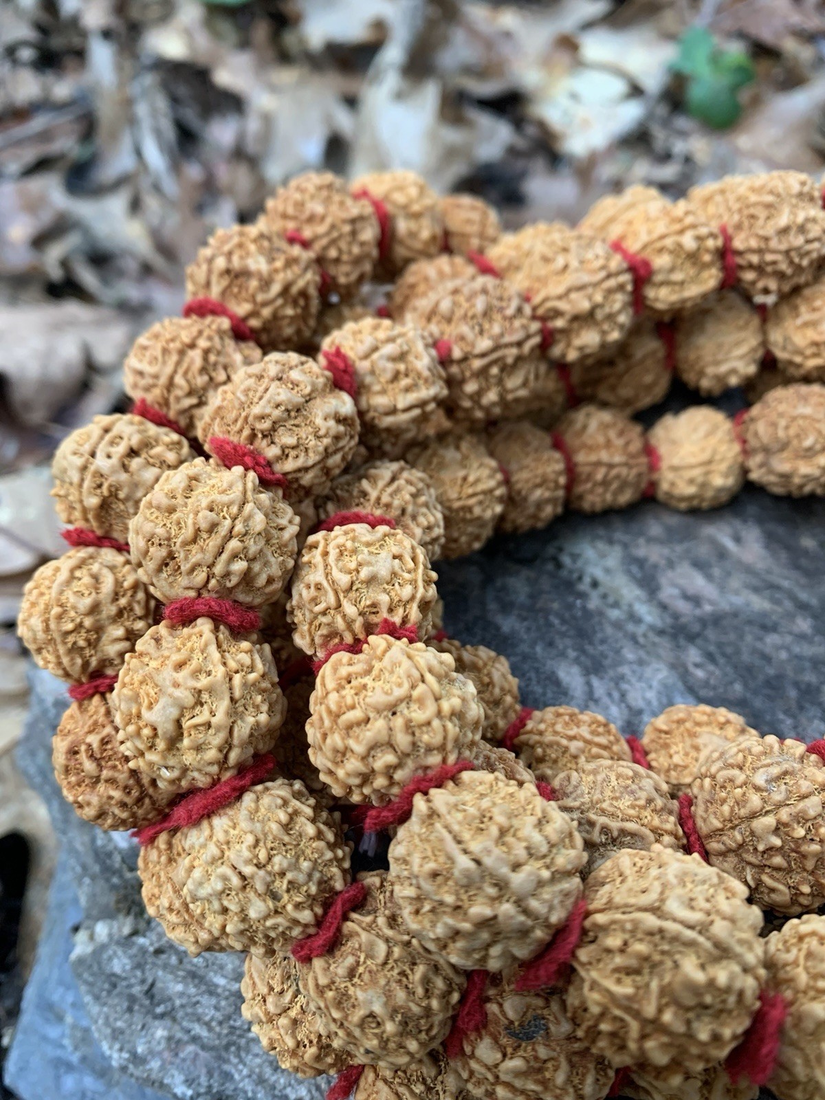 Himalaya Light Rudraksha Shiva Japa Mala 108 Seeds XL Size Handmade in Nepal