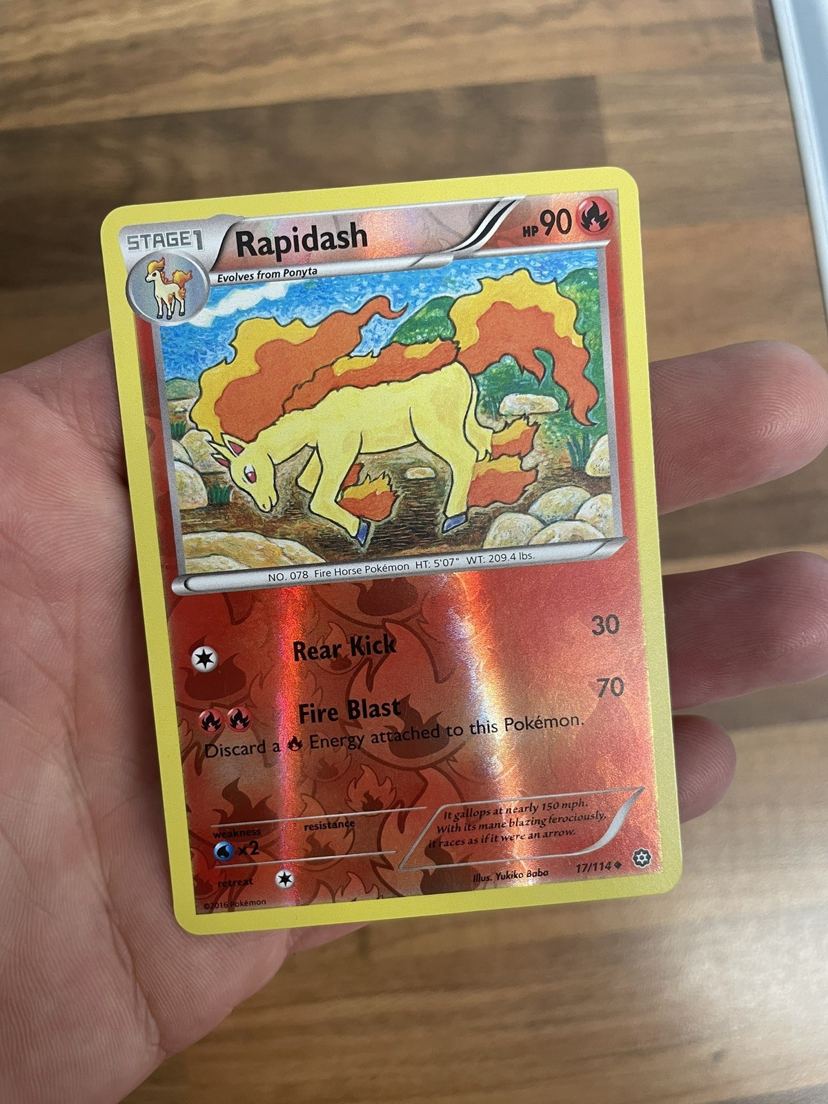 Pokemon TCG Rapidash Reverse Holo 17/114 Steam Siege in protector
