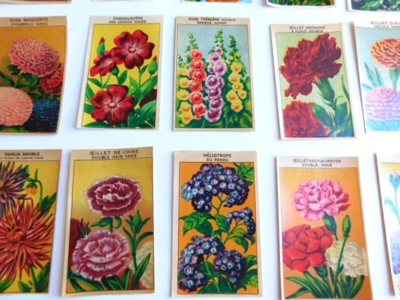 70 Vintage French Flower Seed Packet Labels 1920-30s Not Reprints