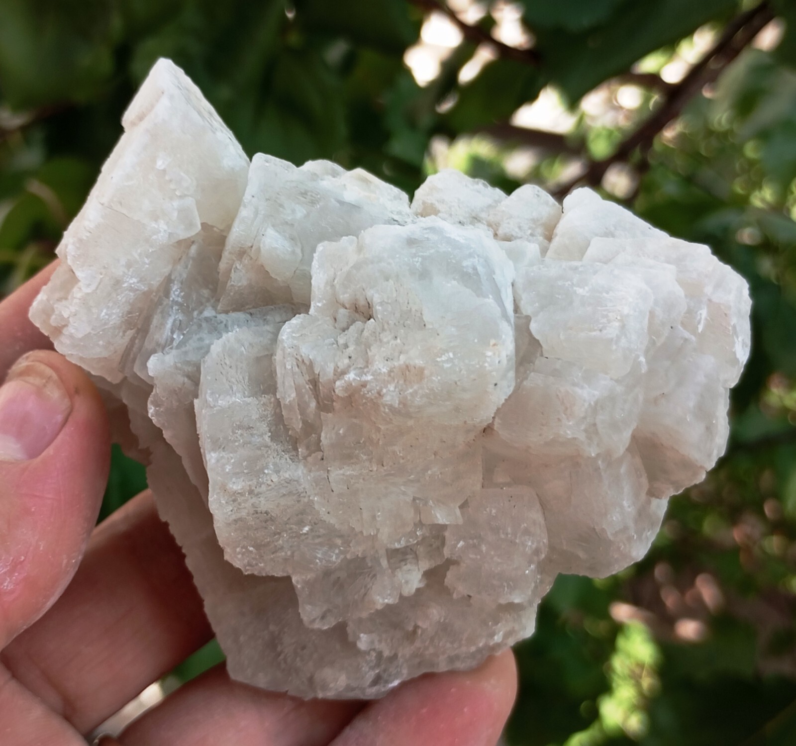 Inyoite Crystal Cluster From Turkiye