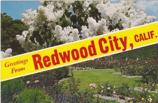 Split View Postcard-Flower Gardens-Greetings From REDWOOD CITY, California