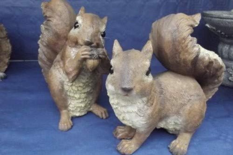 Decorative Chomper Squirrel, Quality Resin Garden Statue for Kids and Adults