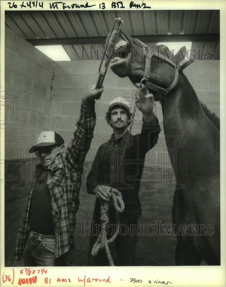 1990 Press Photo Elmo Sanchez and Mark Swilley hold onto horse to be tattooed