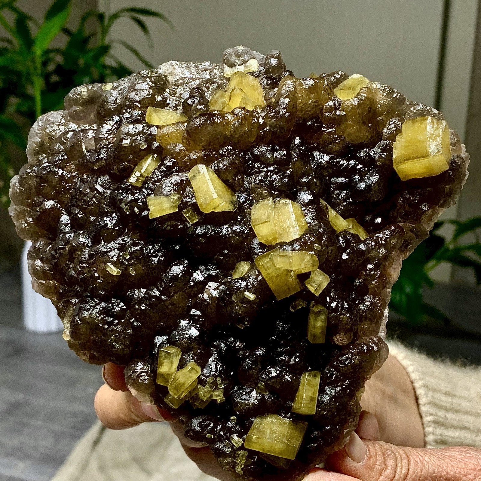 2.72LB Shiny Golden Cuboid Barite Crystal Based on the Purple Spherical Fluorite