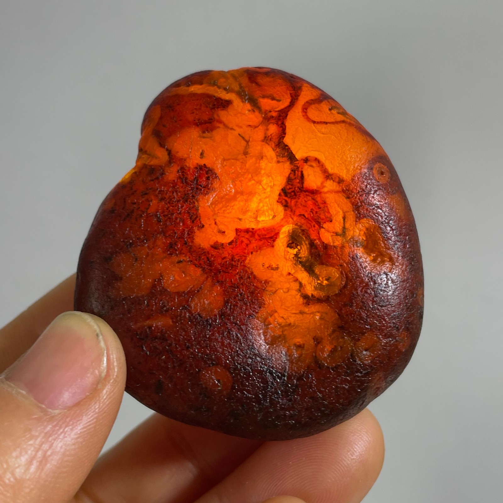61g Bonsai Suiseki- Gobi Agate Eyes Stone-Rare Stunning Viewing