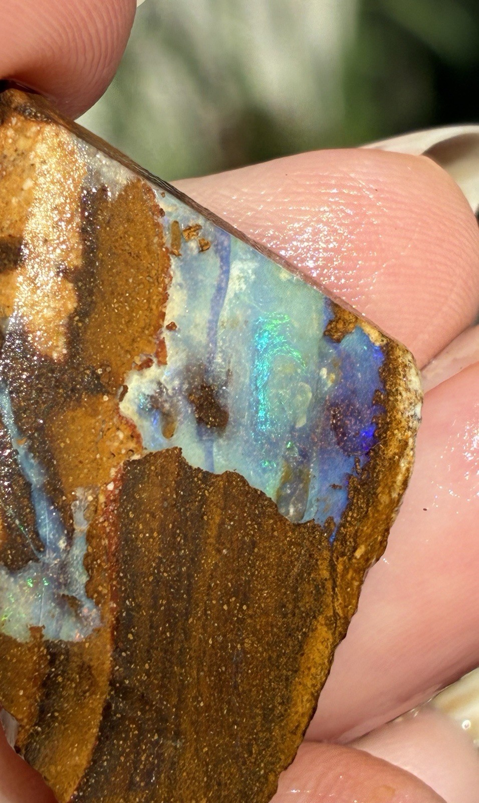 Pretty 43ct Australian Boulder Opal Rough Loose Purple Specimen P