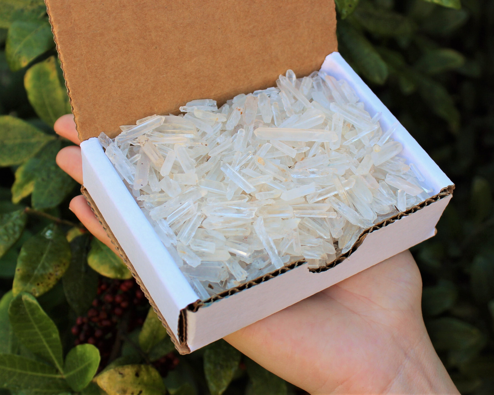 Tiny Natural Matchstick / Jewelry Quartz Crystal Points 1/2 lb (8 oz) Box Lot
