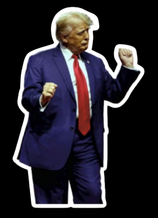 Funny “TRUMP DANCE” Pro Donald Trump LARGE DIE CUT DECAL garbage 2024 sticker