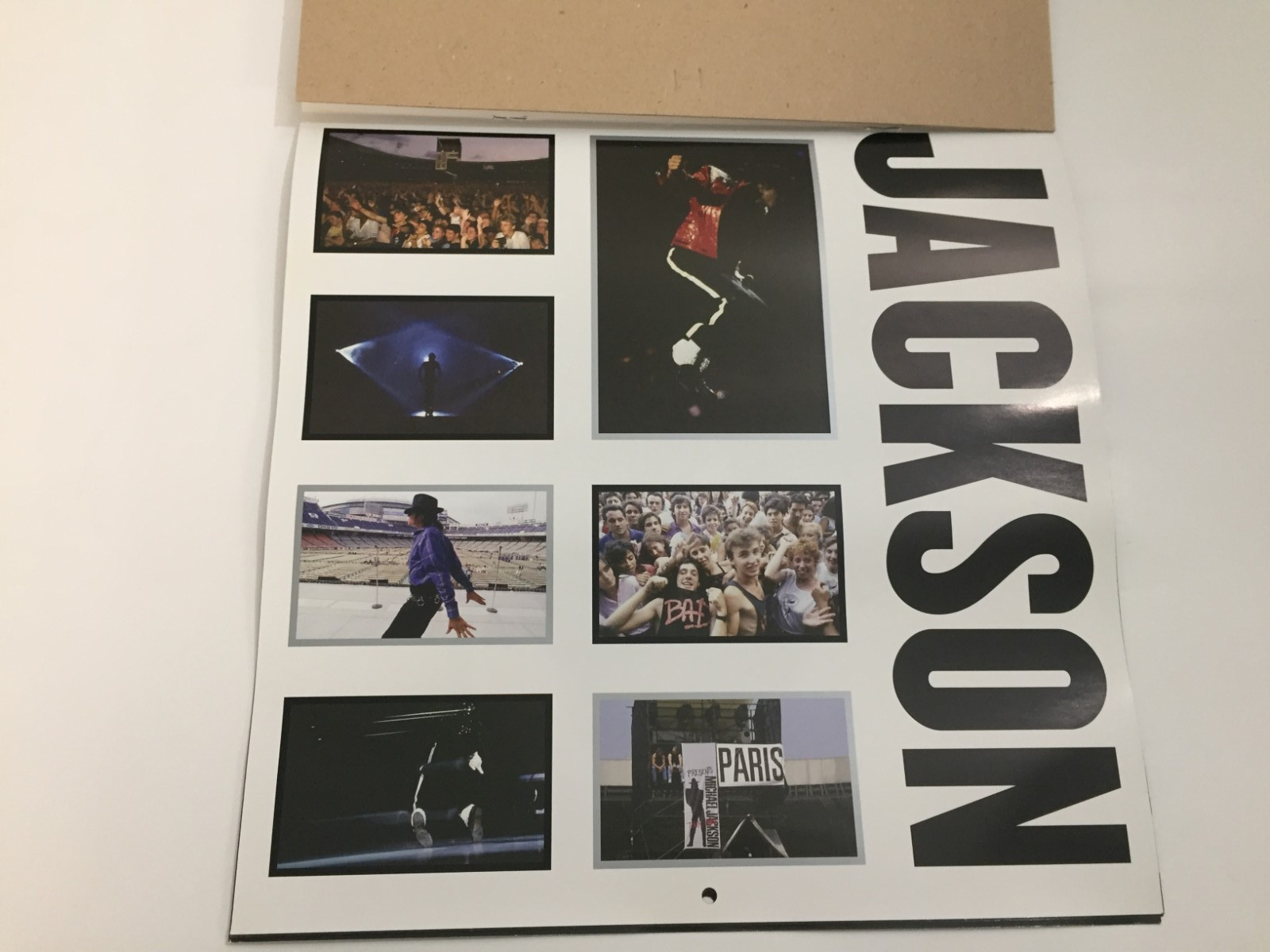Michael Jackson 2012 12 X 12 Square Wall by Brown Trout Staff “2012 Calendar”