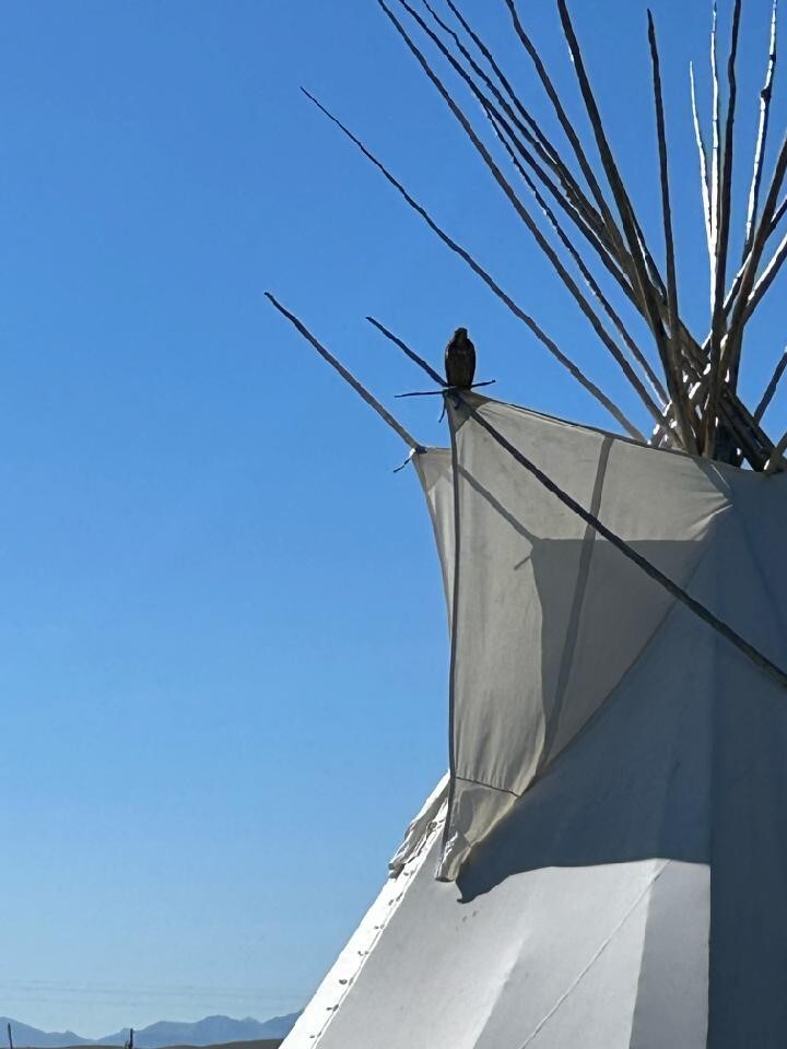 Custom Tipi in Canvas Authentic Native American Camping Lodge with or w/o liners