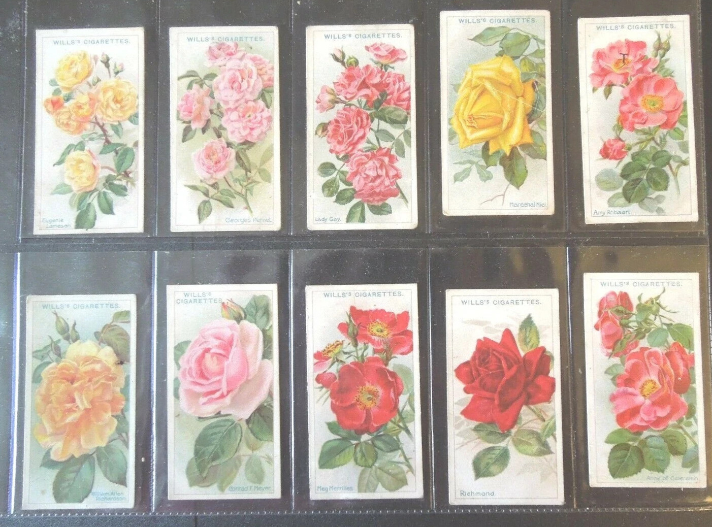 1912 W.D. & H.O. WILLS ROSES 50 TOBACCO CARD SET EXCELLENT