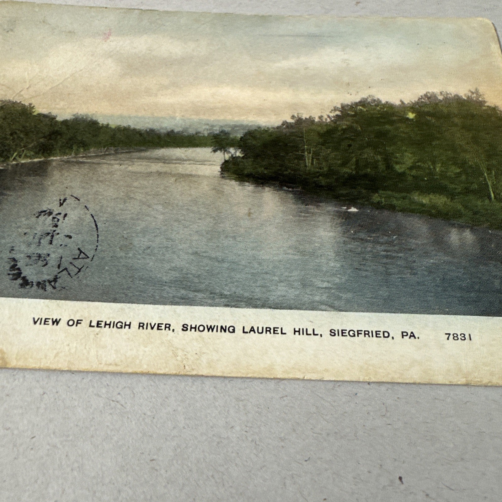 Siegfried Pennsylvania Lehigh River Laurel Antique Divided Back Postcard Posted