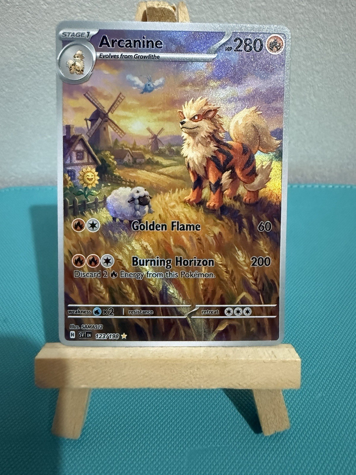 Arcanine Wooloo Swablu Pokemon Card DISPLAY ART