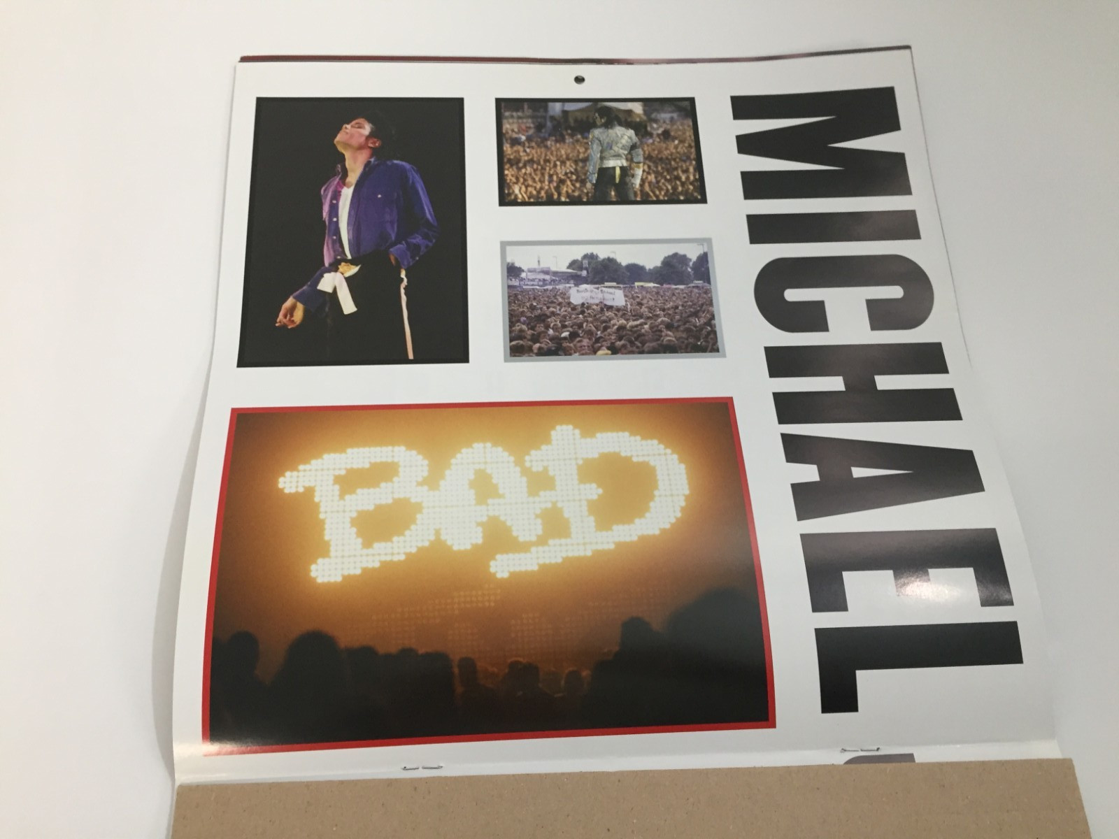 Michael Jackson 2012 12 X 12 Square Wall by Brown Trout Staff “2012 Calendar”