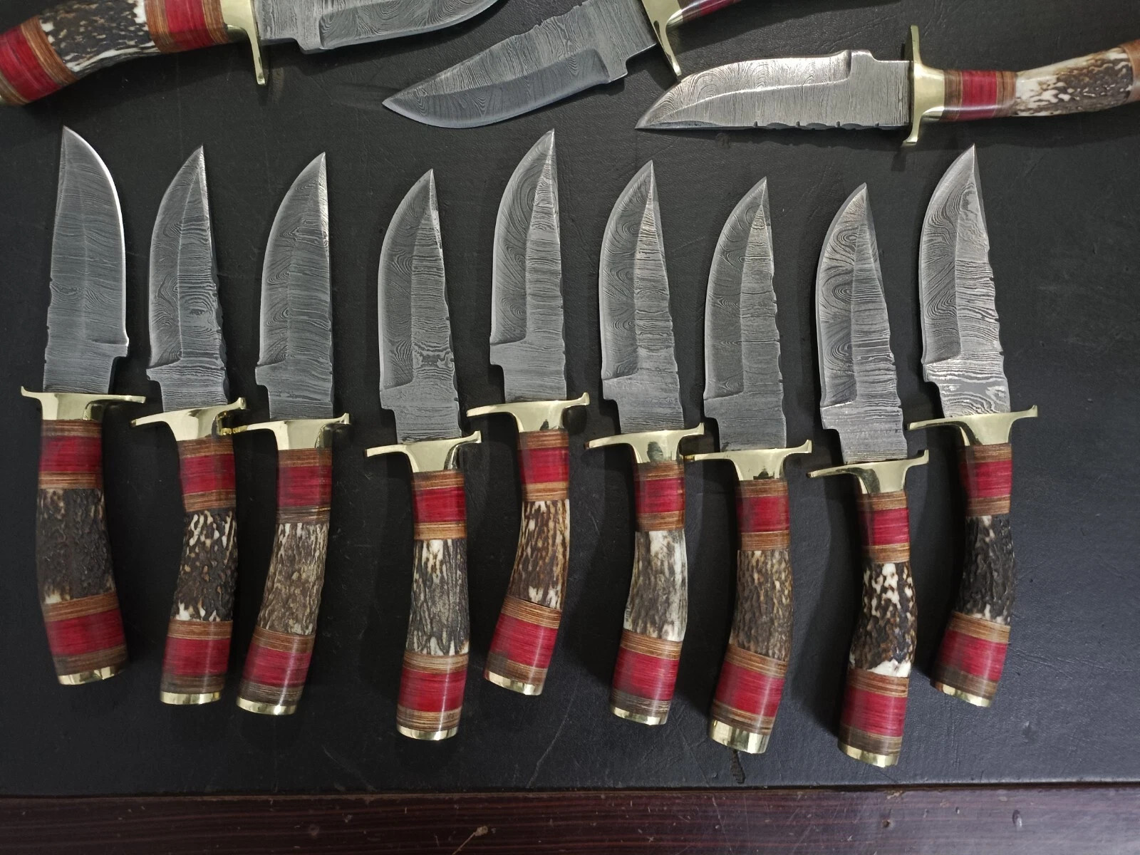 LOT OF 10, 8″ inches Handmade Damascus Steel Skinner Knives in Stag Horn Handle.