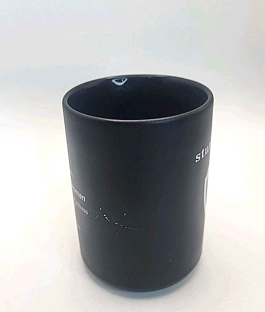 Warner Bros Studio Coffee Mug WB Shield Stuntwoman Black Matte Finish 16 ox