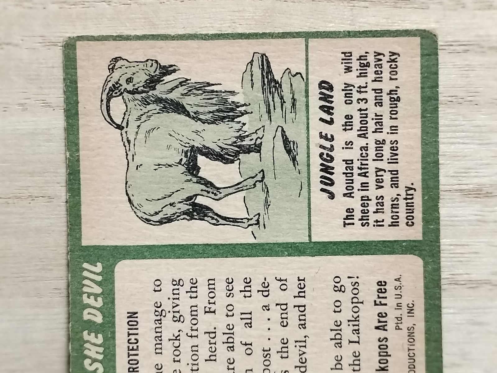 1953 Tarzan & the She Devil Scene 58 “Rocky Protection” Topps Card