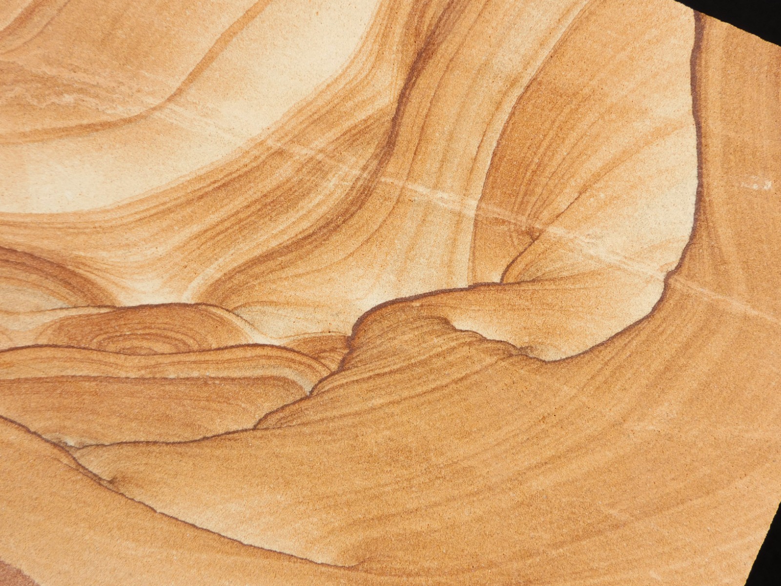 LARGER! PICTURE Stone / SANDSTONE Slice/Slab with Display Stand Utah 566gr