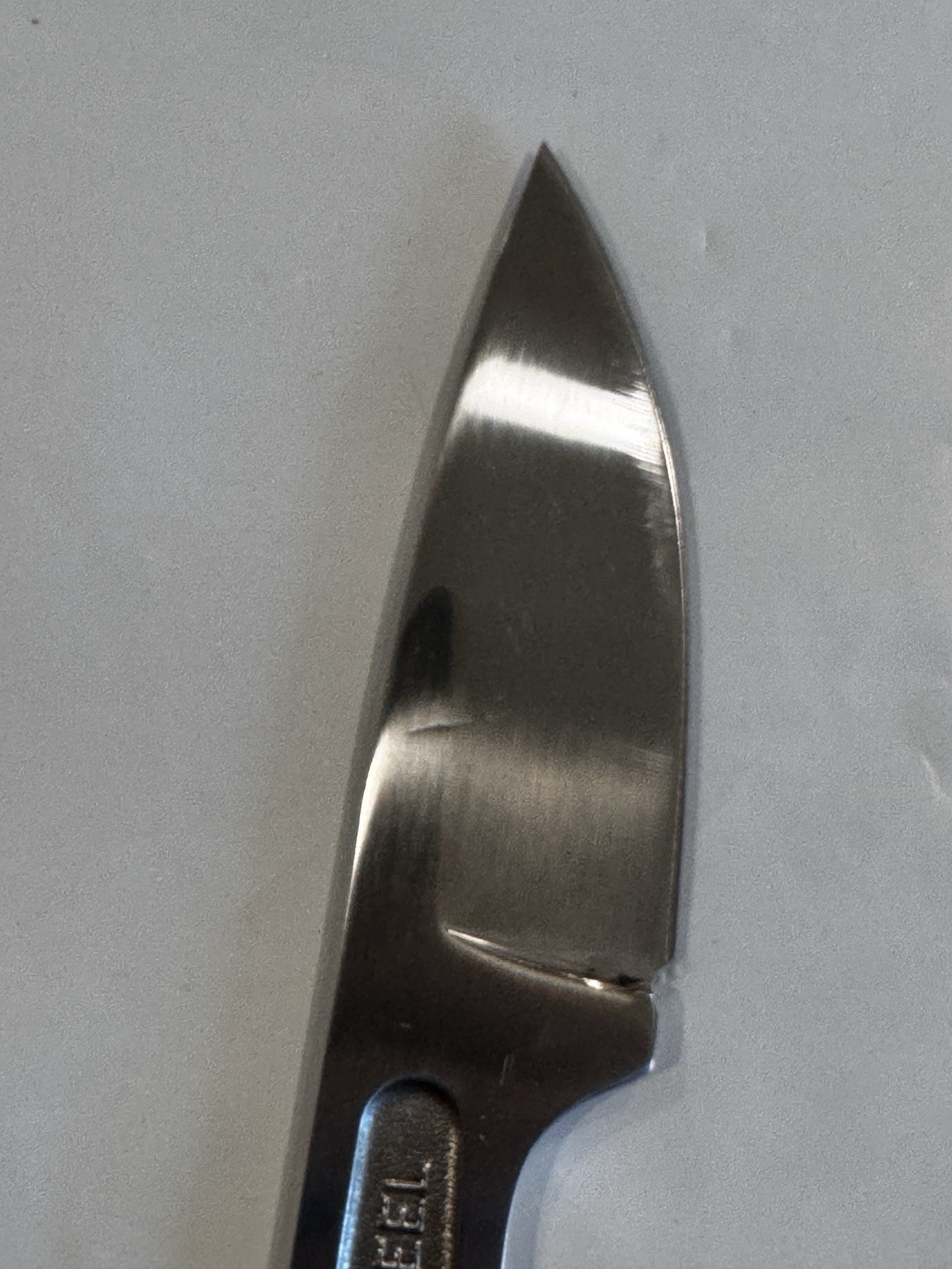 EDC Fixed Blade Knife w/ Sheath Small Survival Camping Knife USED Scratches