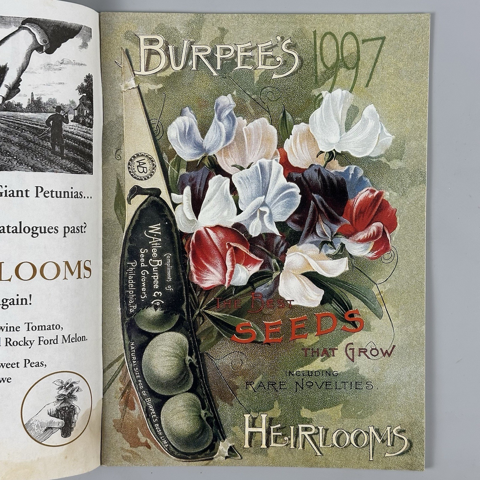 Burpee Seeds & Plants Catalog 1997 Heirlooms Includes Reprints of VTG Cover Art