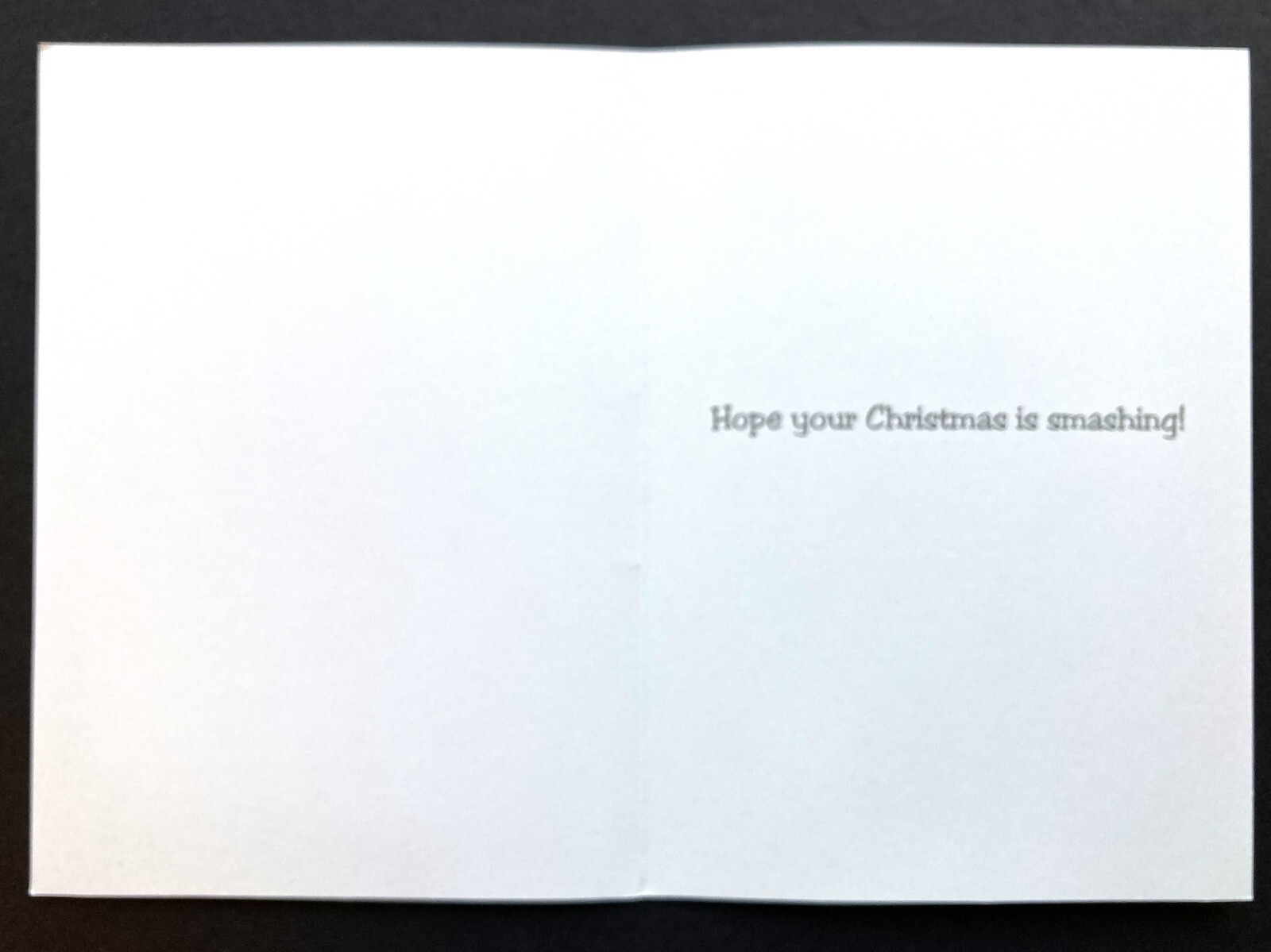 *ONE* The Duplex Comic Strip Christmas Card Tree Accident Eno & Dog Fang Funny
