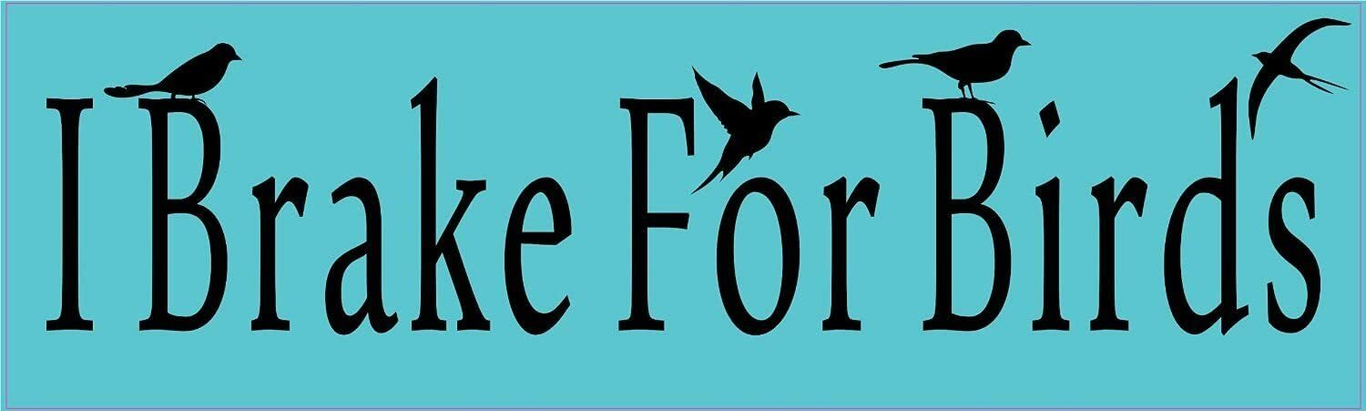 StickerTalk I Brake for Birds Vinyl Sticker, 10 inches by 3 inches