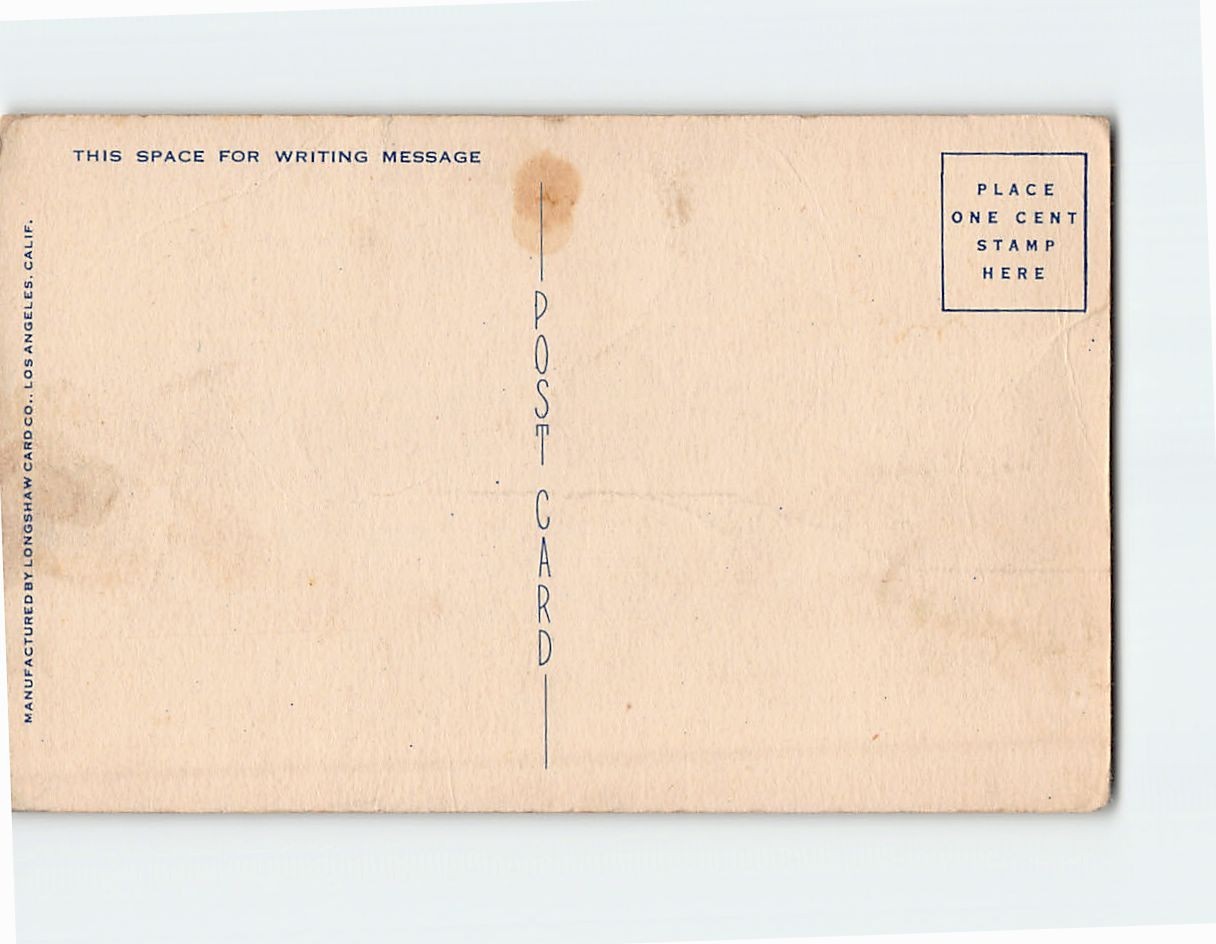 Postcard Sunken Gardens Exposition Park Los Angeles California USA