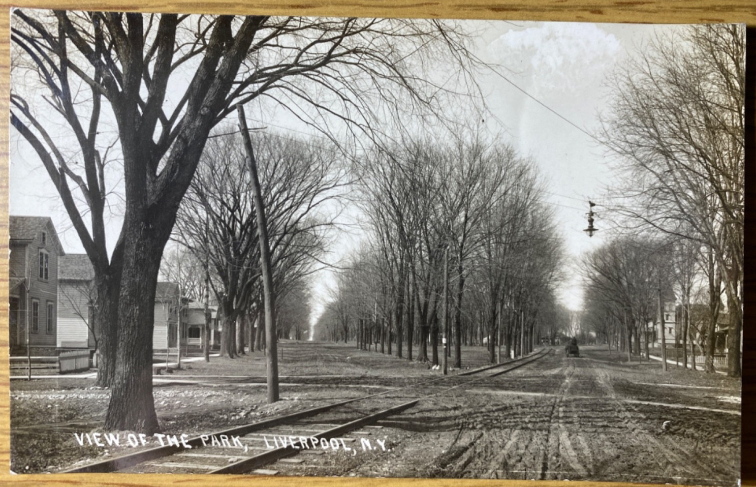 1910s RPPC – LIVERPOOL, NEW YORK antique real photo postcard VIEW OF THE PARK