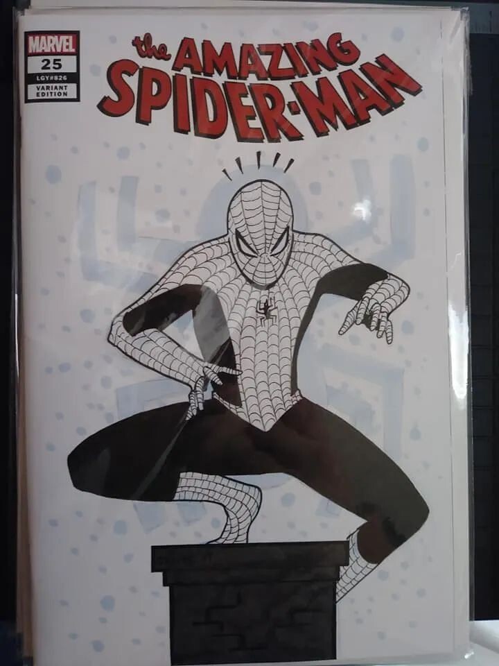 Original Custom Blank Sketch Cover Artwork DC Marvel Commissions INCLUDES COMIC.