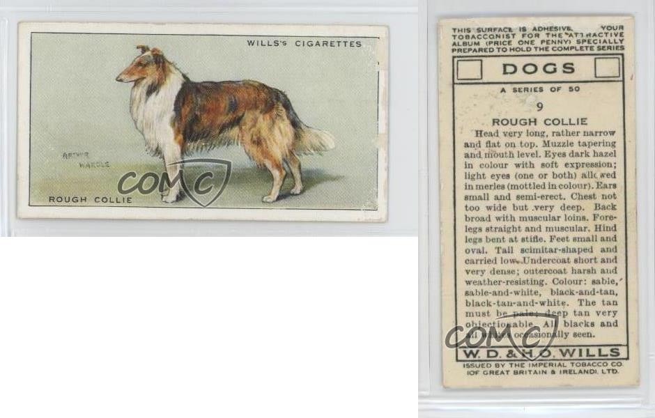 1937 Wills Dogs Tobacco Rough Collie #9 12hh