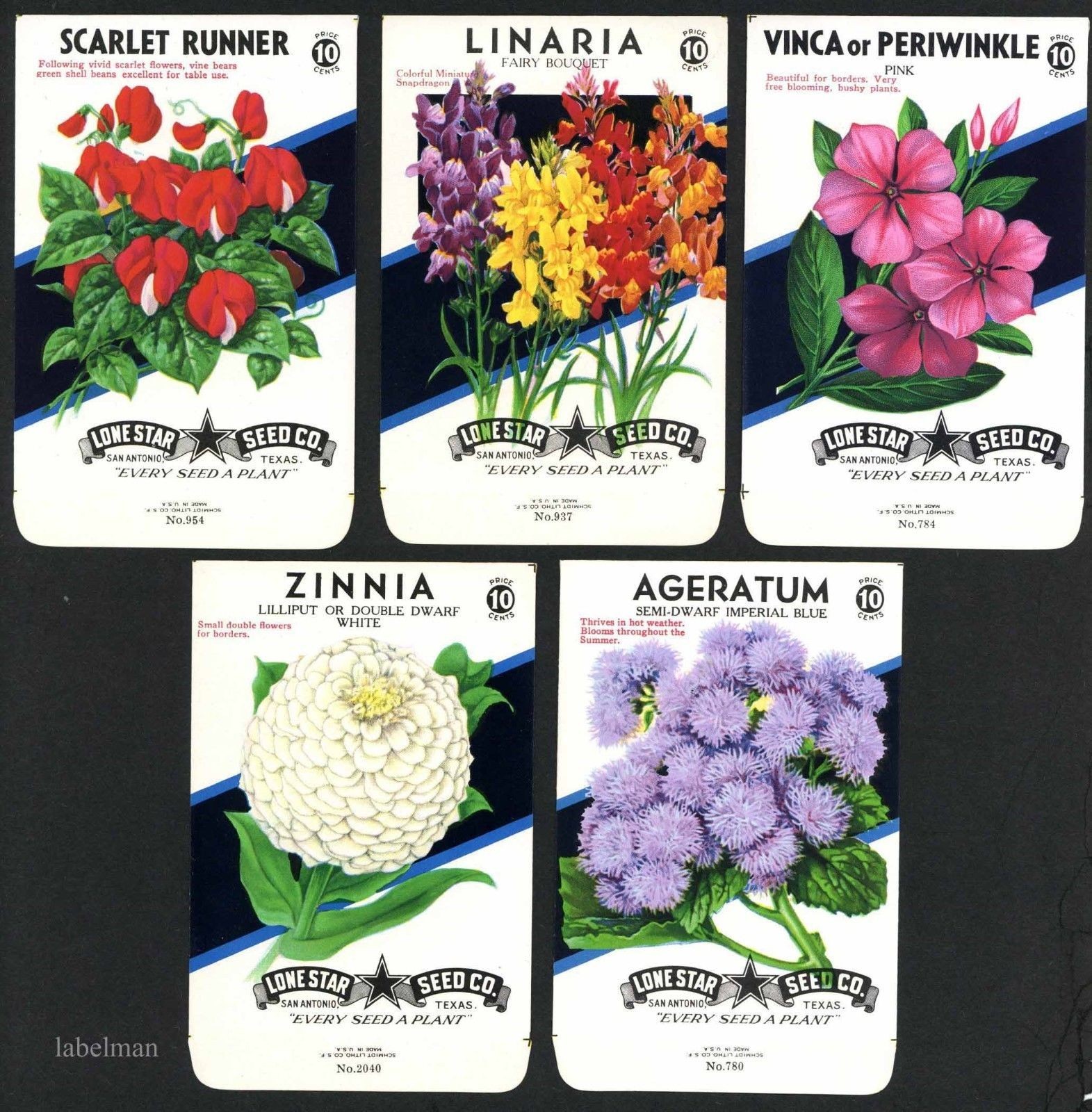 Set of 5 Different Vintage Flower Seed Packets, San Antonio, Lone Star Texas L03