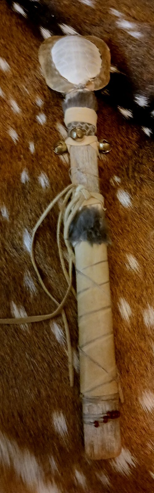 **AWESOME NATIVE AMERICAN SHELL RATTLE RED EAR LEGAL WHITE SHAMANS RATTLE *