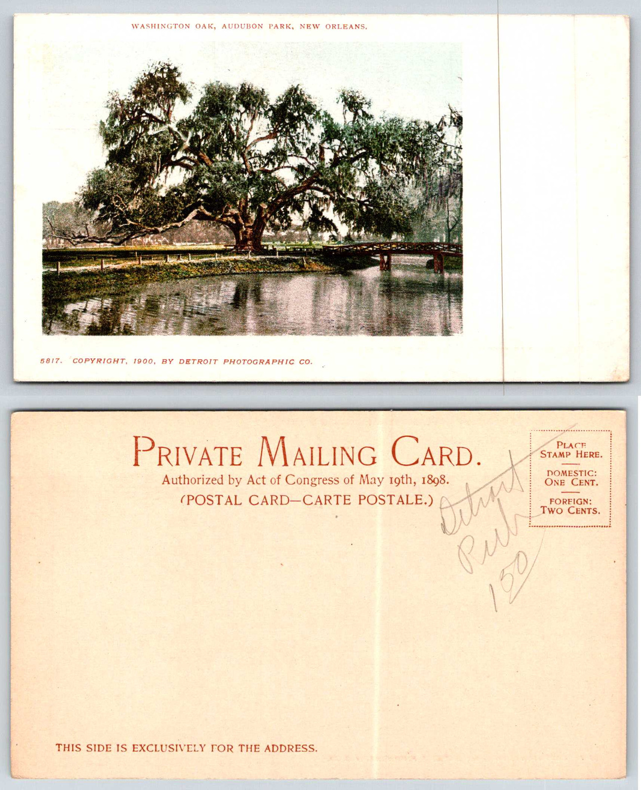 New Orleans LA AUDUBON PARK WASHINGTON OAK Detroit Photo 5617 PMC Postcard W666