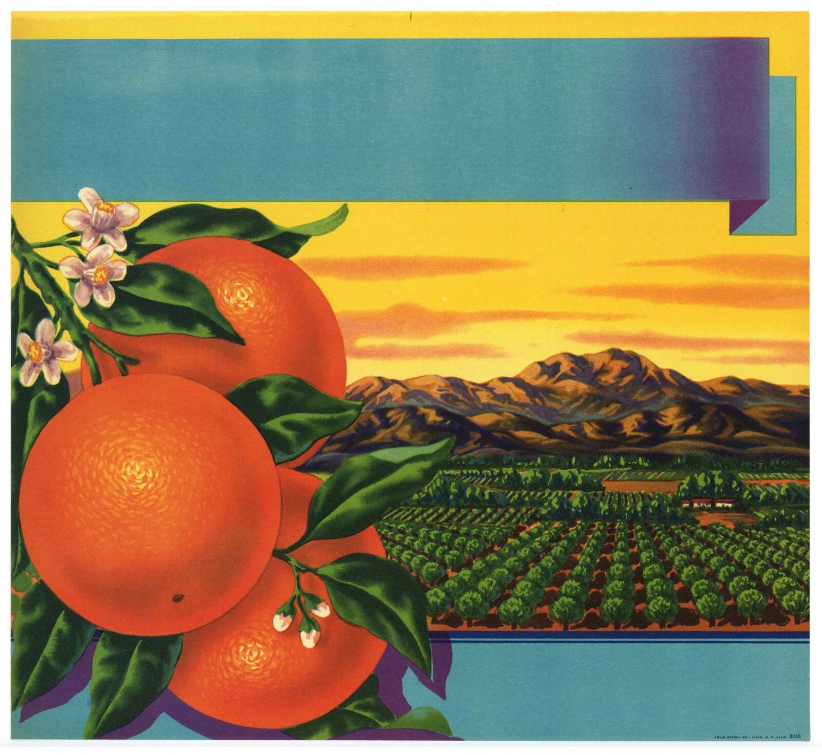 STOCK #8066 Vintage Orange Crate Label, ***AN ORIGINAL LABEL***