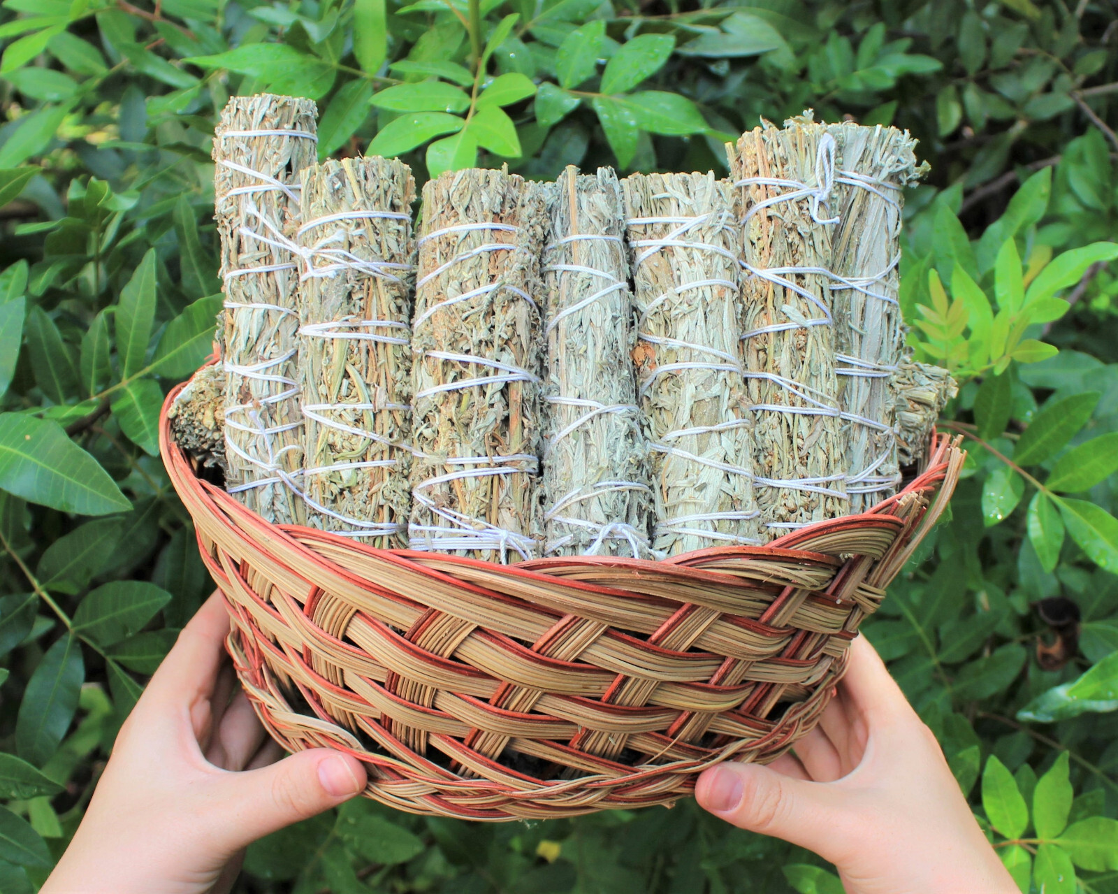 Set of 2 Mugwort Smudge Sticks (House Cleansing Remove Negativity Black Sage)
