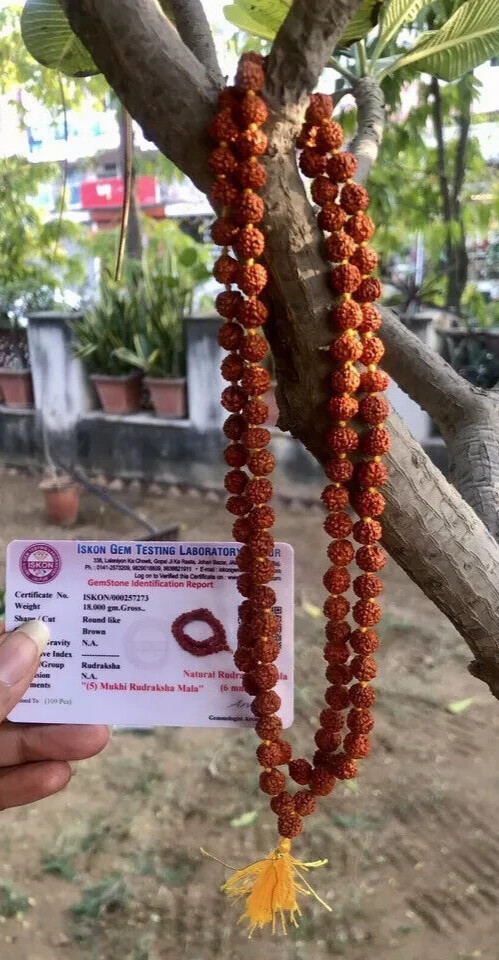 LAB CERTIFIED 5 Mukhi RUDRAKSHA Rudraksh Mala ROSARY 108+1 Bead Prayer Beads 6mm